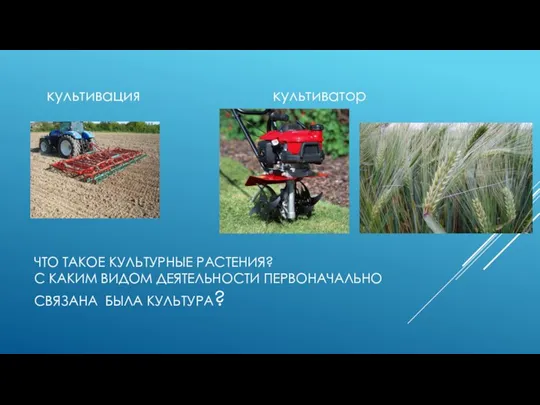 ЧТО ТАКОЕ КУЛЬТУРНЫЕ РАСТЕНИЯ? С КАКИМ ВИДОМ ДЕЯТЕЛЬНОСТИ ПЕРВОНАЧАЛЬНО СВЯЗАНА БЫЛА КУЛЬТУРА? культивация культиватор