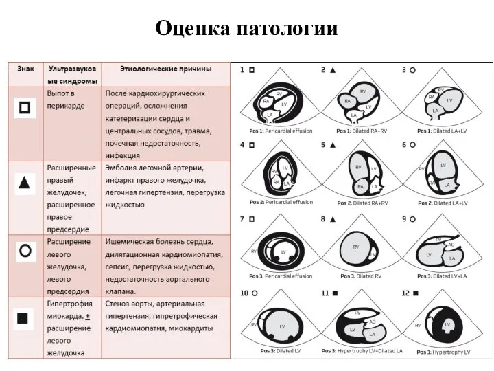 Оценка патологии