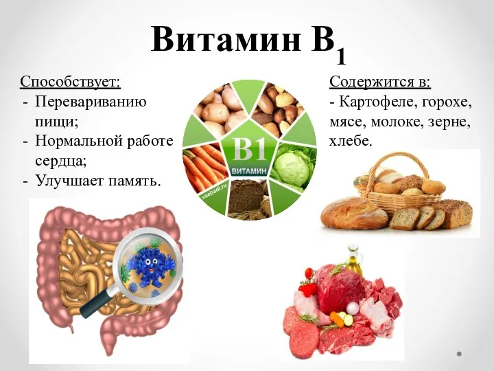 Витамин B1 Способствует: Перевариванию пищи; Нормальной работе сердца; Улучшает память. Содержится в: