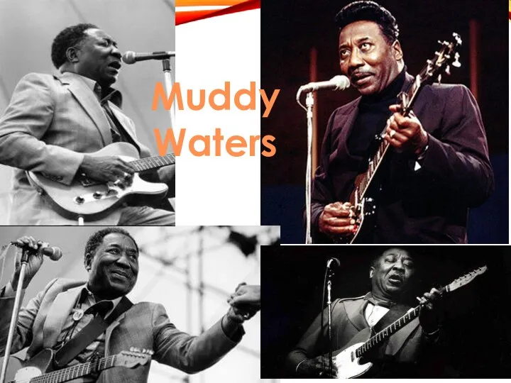 Muddy Waters