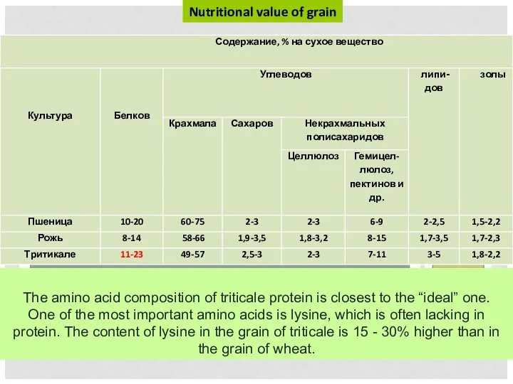 Nutritional value of grain The amino acid composition of triticale protein is