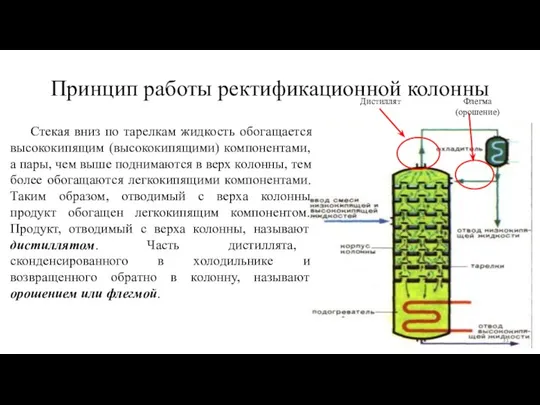 Принцип работы ректификационной колонны Стекая вниз по тарелкам жидкость обогащается высококипящим (высококипящими)