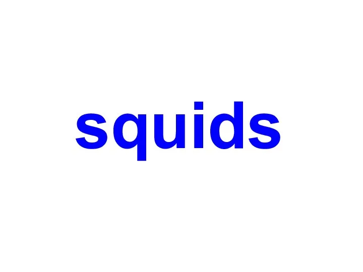 squids