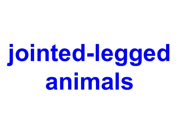jointed-legged animals