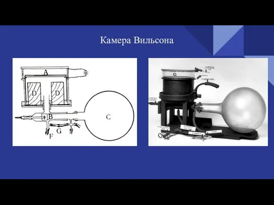 Камера Вильсона