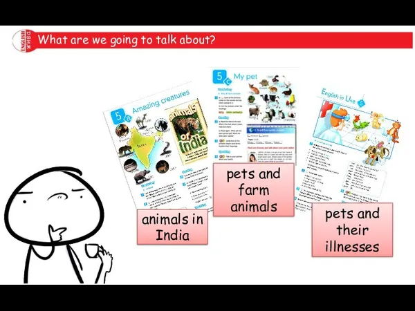 What are we going to talk about? animals in India pets and