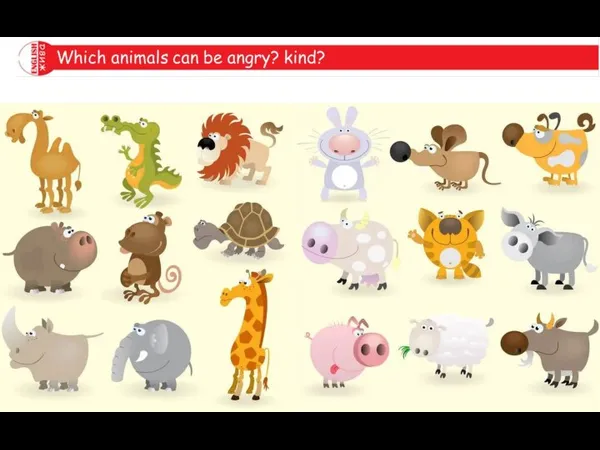 Look at the picture. Do you know all these animals?