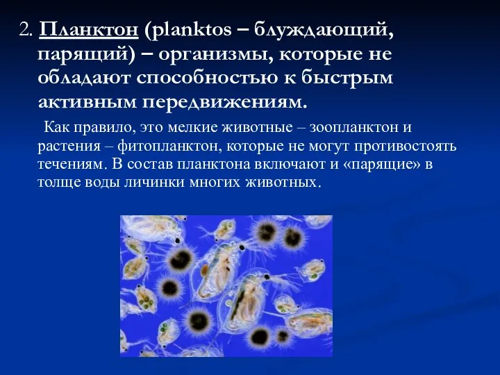 2. Планктон (planktos – блуждающий, парящий) – организмы, которые не обладают способностью