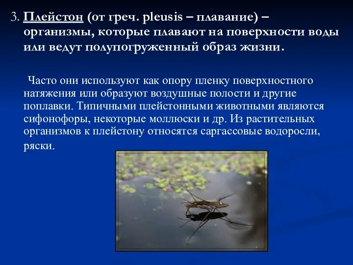 3. Плейстон (от греч. pleusis – плавание) – организмы, которые плавают на