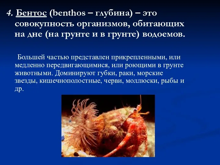 4. Бентос (benthos – глубина) – это совокупность организмов, обитающих на дне