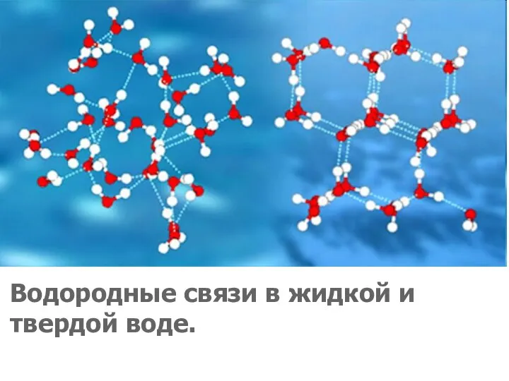 Водородные связи в жидкой и твердой воде.