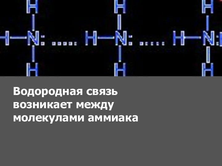 Водородная связь возникает между молекулами аммиака