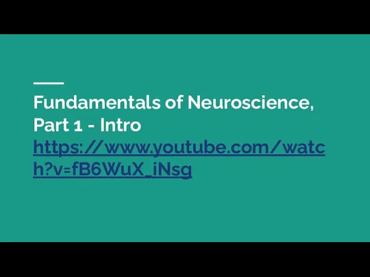 Fundamentals of Neuroscience, Part 1 - Intro https://www.youtube.com/watch?v=fB6WuX_iNsg