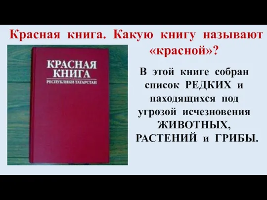 Красная книга. Какую книгу называют «красной»? В этой книге собран список РЕДКИХ