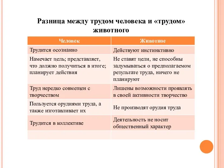 Разница между трудом человека и «трудом» животного