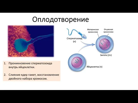 ТЕКСТ 2 ТЕКСТ 1