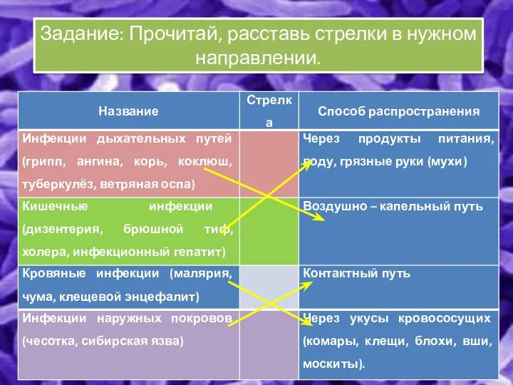 Задание: Прочитай, расставь стрелки в нужном направлении.