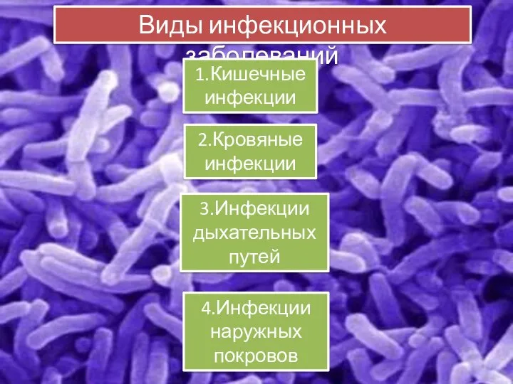 Виды инфекционных заболеваний 1.Кишечные инфекции 3.Инфекции дыхательных путей 2.Кровяные инфекции 4.Инфекции наружных покровов