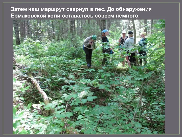 Затем наш маршрут свернул в лес. До обнаружения Ермаковской копи оставалось совсем немного.