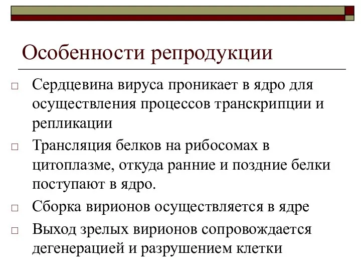 Особенности репродукции Сердцевина вируса проникает в ядро для осуществления процессов транскрипции и