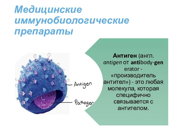 Медицинские иммунобиологические препараты