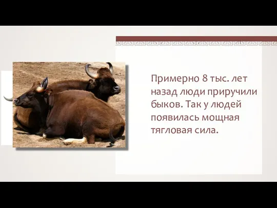 Примерно 8 тыс. лет назад люди приручили быков. Так у людей появилась мощная тягловая сила.