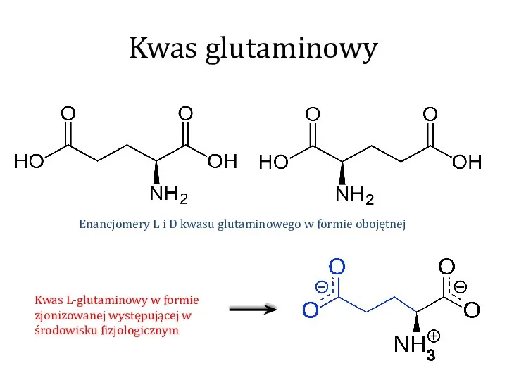 Kwas glutaminowy Enancjomery L i D kwasu glutaminowego w formie obojętnej Kwas