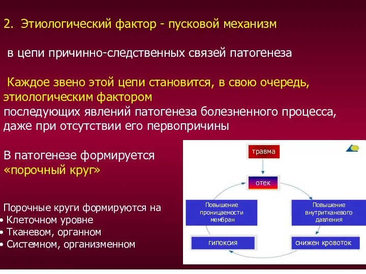 2. Этиологический фактор - пусковой механизм в цепи причинно-следственных связей патогенеза Каждое