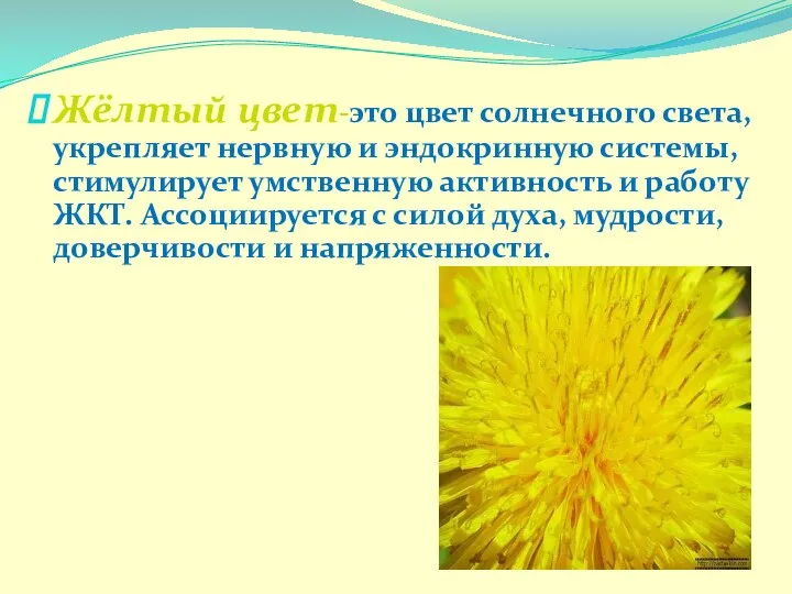 Жёлтый цвет-это цвет солнечного света, укрепляет нервную и эндокринную системы, стимулирует умственную
