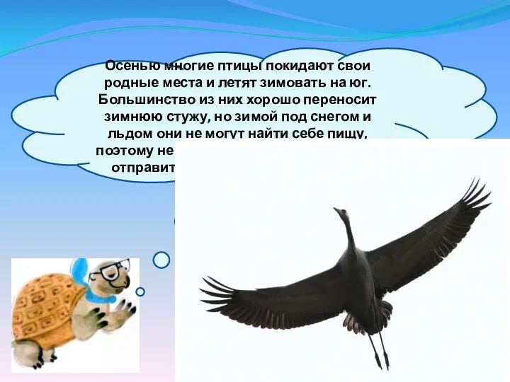 Осенью многие птицы покидают свои родные места и летят зимовать на юг.