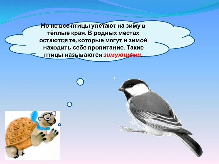 Но не все птицы улетают на зиму в тёплые края. В родных