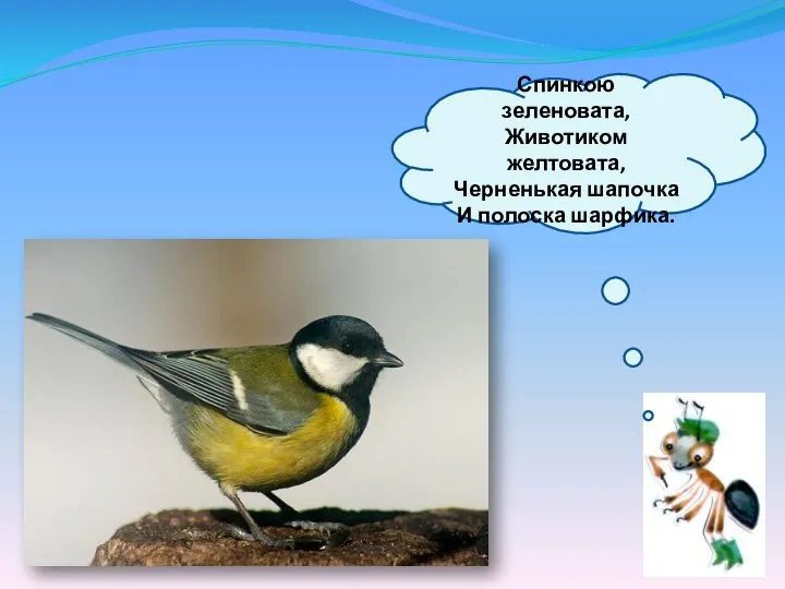 Спинкою зеленовата, Животиком желтовата, Черненькая шапочка И полоска шарфика.