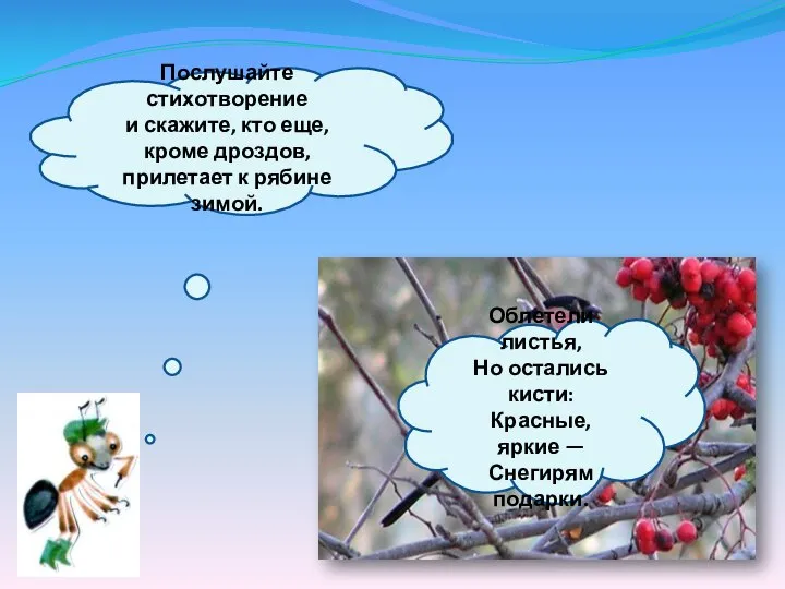 Послушайте стихотворение и скажите, кто еще, кроме дроздов, прилетает к рябине зимой.