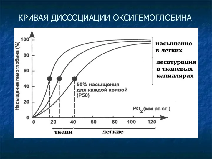 КРИВАЯ ДИССОЦИАЦИИ ОКСИГЕМОГЛОБИНА