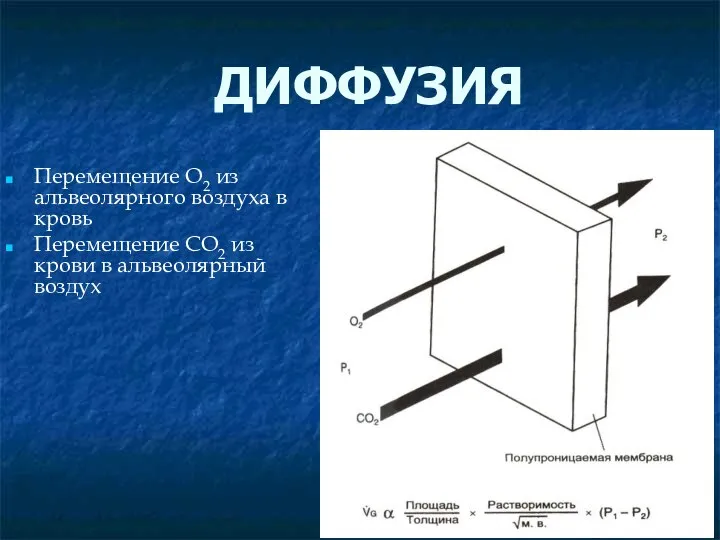 ДИФФУЗИЯ Перемещение О2 из альвеолярного воздуха в кровь Перемещение СО2 из крови в альвеолярный воздух