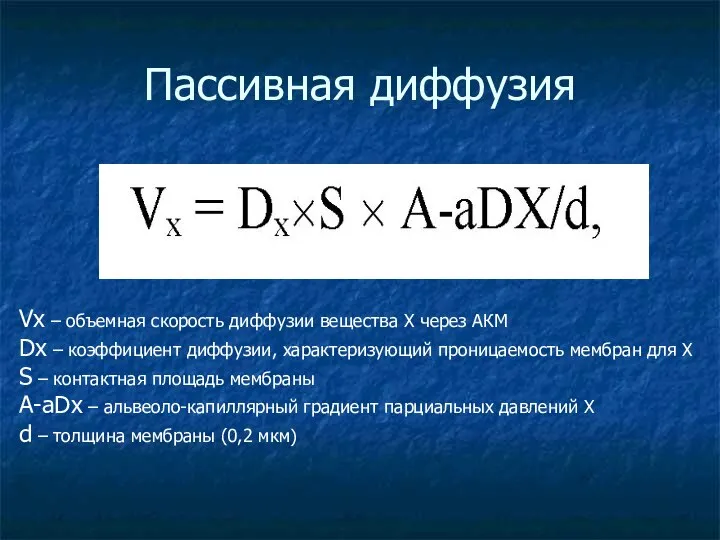 Пассивная диффузия Vx – объемная скорость диффузии вещества Х через АКМ Dx