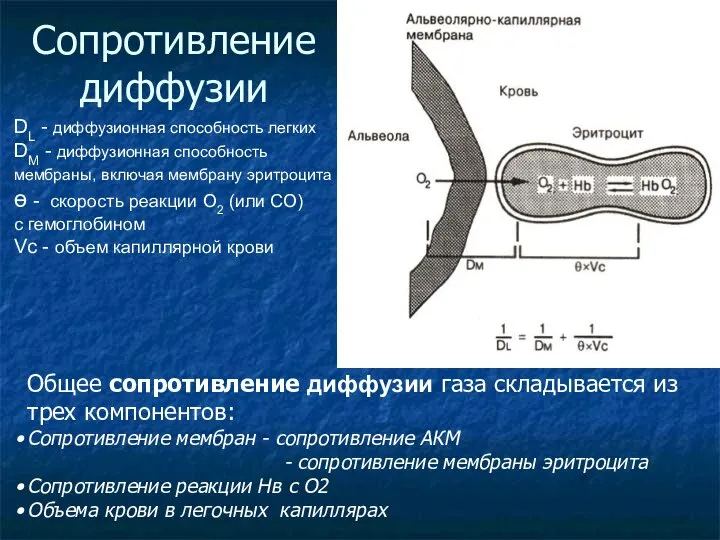 Сопротивление диффузии DL - диффузионная способность легких DM - диффузионная способность мембраны,