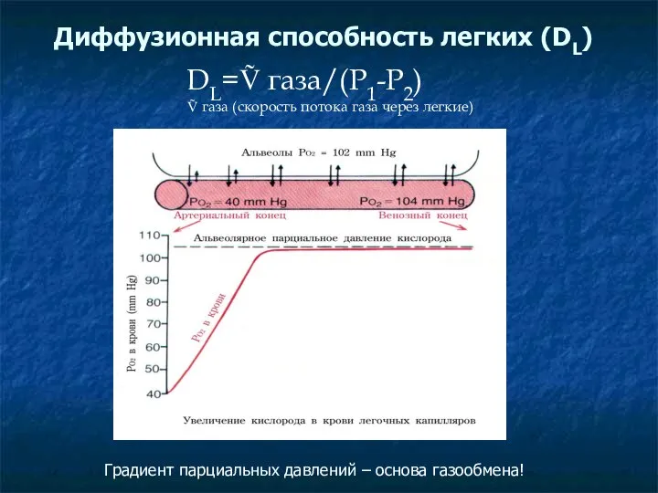 Диффузионная способность легких (DL) DL=Ṽ газа/(Р1-Р2) Ṽ газа (скорость потока газа через