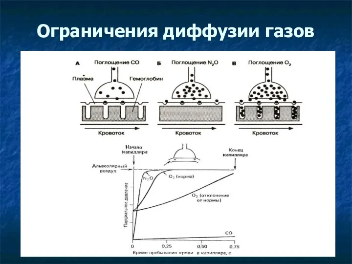 Ограничения диффузии газов