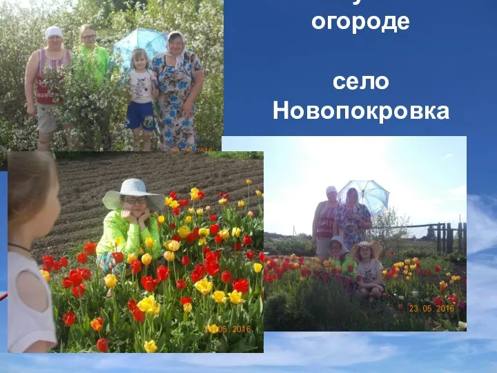 У бабушки в огороде село Новопокровка