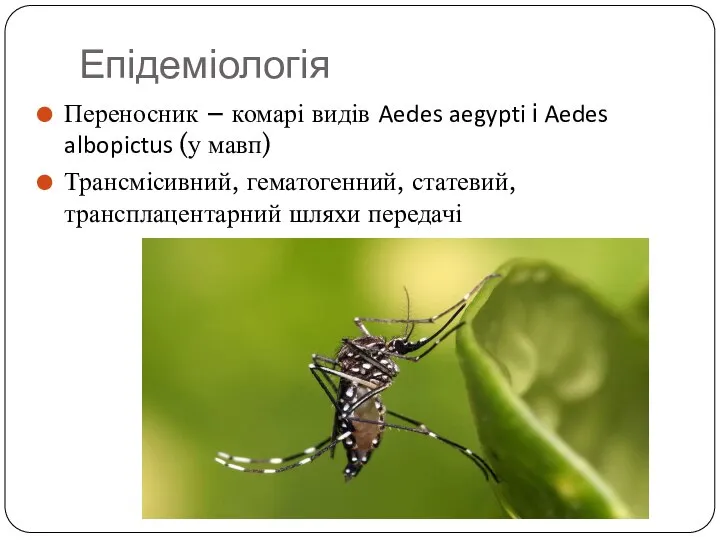 Епідеміологія Переносник – комарі видів Aedes aegypti і Aedes albopictus (у мавп)