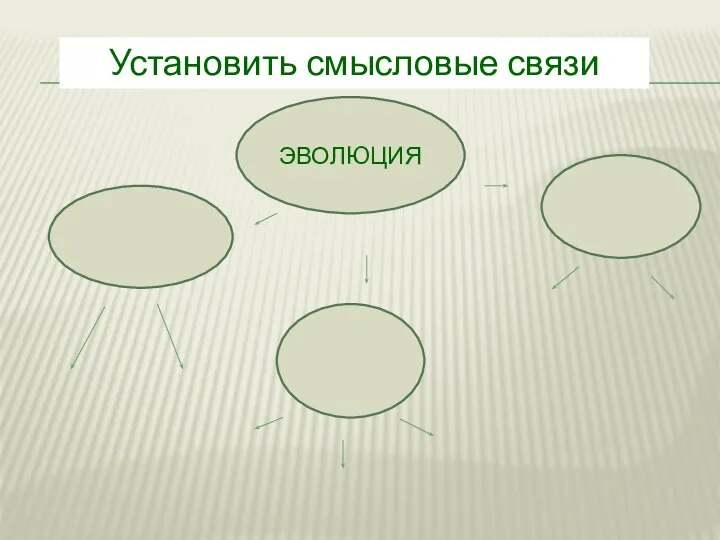 ЭВОЛЮЦИЯ Установить смысловые связи