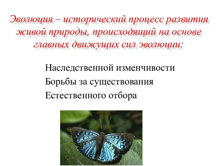 Эволюция – исторический процесс развития живой природы, происходящий на основе главных движущих