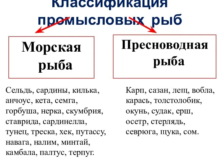 Классификация промысловых рыб Морская рыба Пресноводная рыба Сельдь, сардины, килька, анчоус, кета,