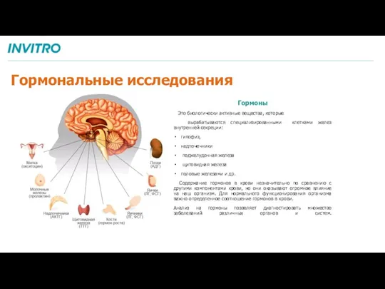 Гормоны Это биологически активные вещества, которые вырабатываются специализированными клетками желез внутренней секреции: