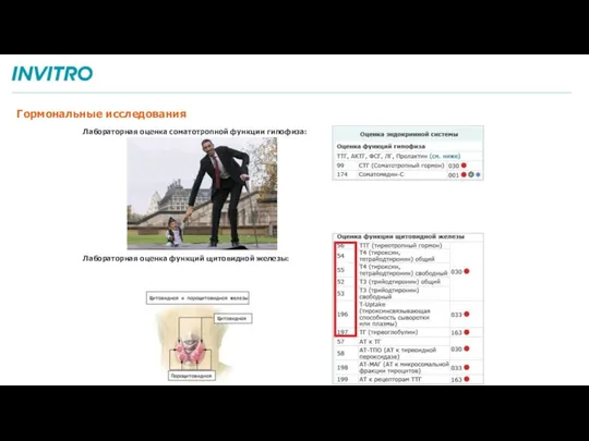 Гормональные исследования Лабораторная оценка соматотропной функции гипофиза: Лабораторная оценка функций щитовидной железы:
