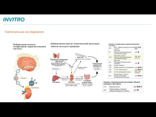 Гормональные исследования Лабораторная оценка гипофизарно-надпочечниковой системы: Лабораторная оценка гормональной регуляции обмена кальция и фосфора:
