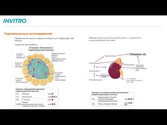 Гормональные исследования Лабораторная оценка эндокринной функции поджелудочной железы и диагностика диабета: Лабораторная