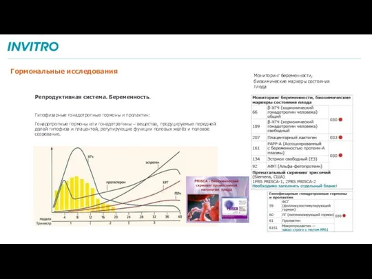 Гормональные исследования Репродуктивная система. Беременность. Гипофизарные гонадотропные гормоны и пролактин: Гонадотропные гормоны