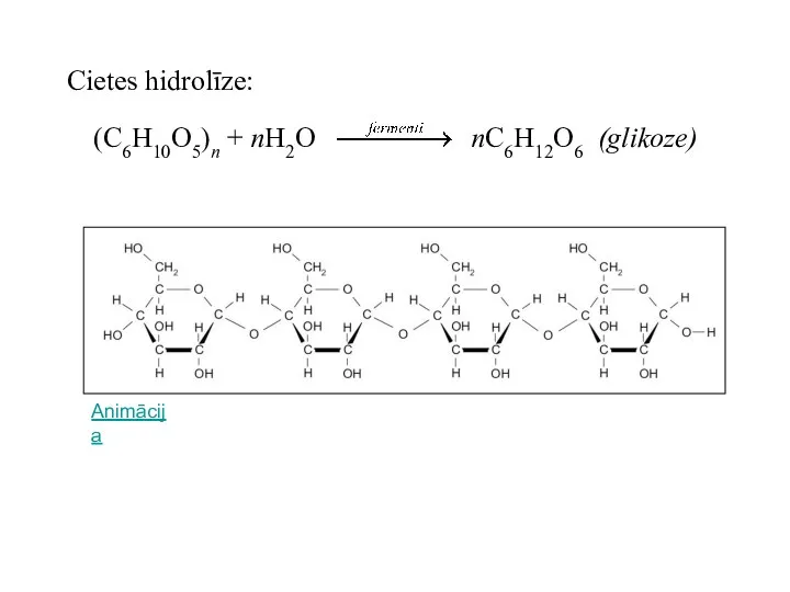 (C6H10O5)n + nH2O nC6H12O6 (glikoze) Cietes hidrolīze: Animācija